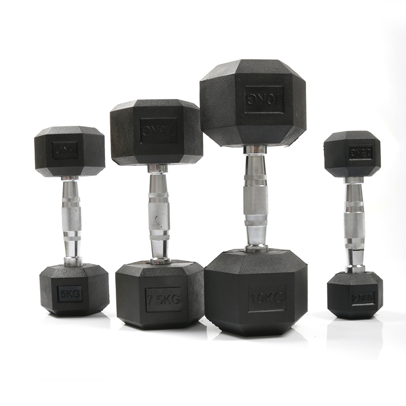 Оптовая продажа с завода: Проч – обзор и цена Home Gym No Equipment